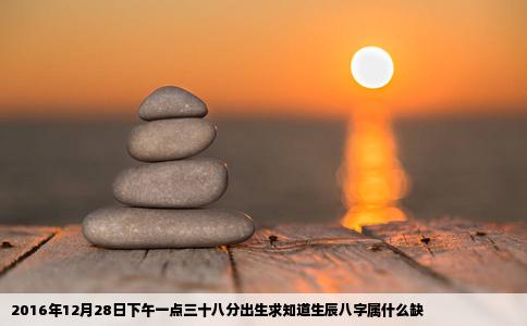 2016年12月28日下午一点三十八分出生求知道生辰八字属什么缺