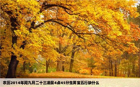 农历2014年闰九月二十三凌晨4点45分生男宝五行缺什么