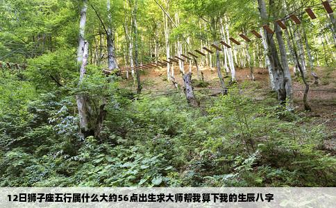 12日狮子座五行属什么大约56点出生求大师帮我算下我的生辰八字