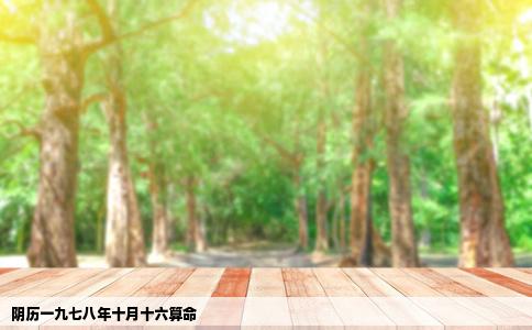 阴历一九七八年十月十六算命