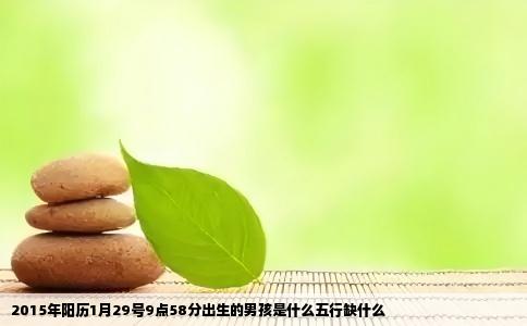 2015年阳历1月29号9点58分出生的男孩是什么五行缺什么