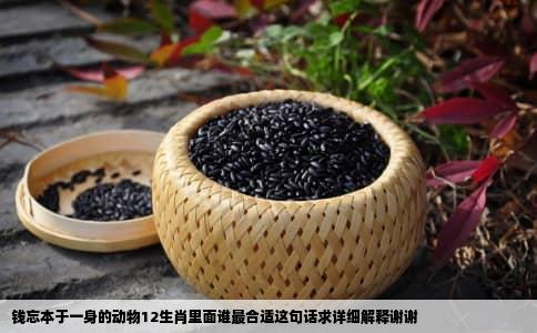 钱忘本于一身的动物12生肖里面谁最合适这句话求详细解释谢谢