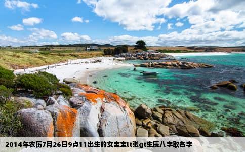 2014年农历7月26日9点11出生的女宝宝lt张gt生辰八字取名字