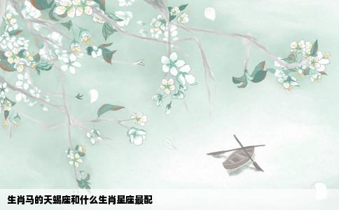 生肖马的天蝎座和什么生肖星座最配