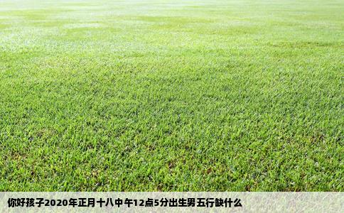 你好孩子2020年正月十八中午12点5分出生男五行缺什么