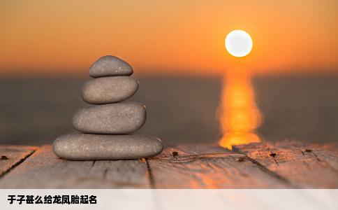 于子甚么给龙凤胎起名