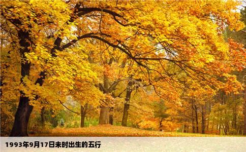 1993年9月17日未时出生的五行
