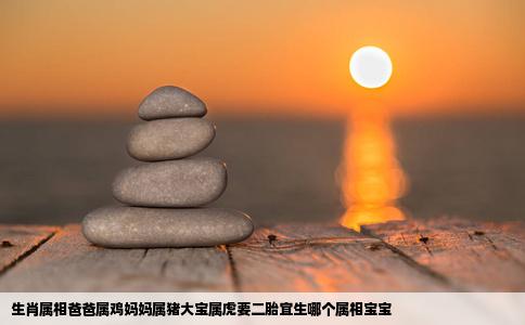 生肖属相爸爸属鸡妈妈属猪大宝属虎要二胎宜生哪个属相宝宝