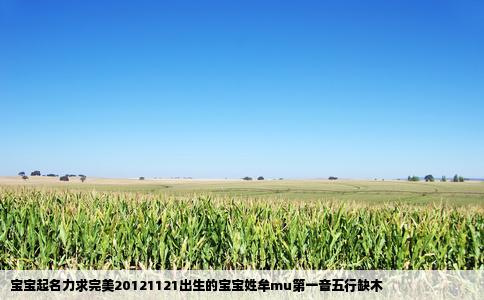 宝宝起名力求完美20121121出生的宝宝姓牟mu第一音五行缺木