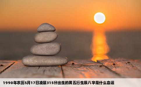 1990年农历5月17日凌晨315分出生的男五行生辰八字是什么命运