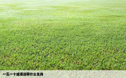 一五一十成语说明什么生肖