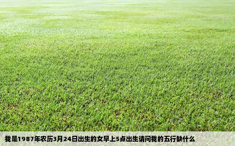 我是1987年农历3月24日出生的女早上5点出生请问我的五行缺什么