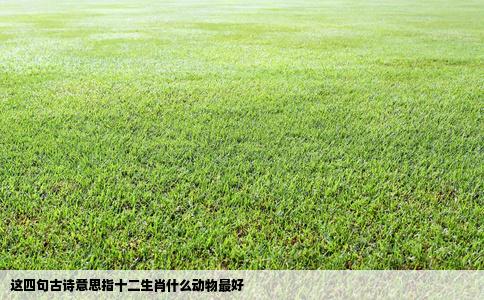 这四句古诗意思指十二生肖什么动物最好