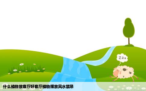 什么植物放客厅好客厅植物摆放风水禁忌