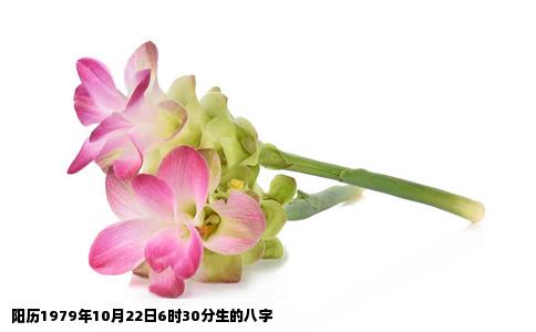 阳历1979年10月22日6时30分生的八字