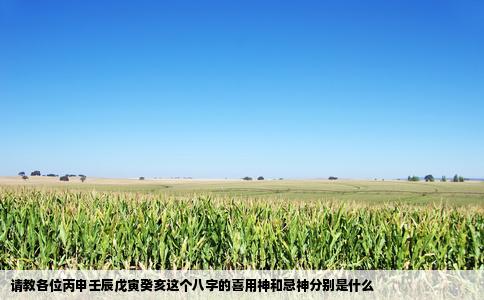 请教各位丙申壬辰戊寅癸亥这个八字的喜用神和忌神分别是什么