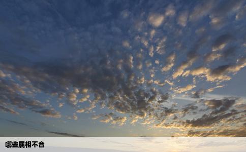哪些属相不合