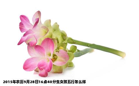 2015年农历9月28日16点40分生女孩五行怎么样