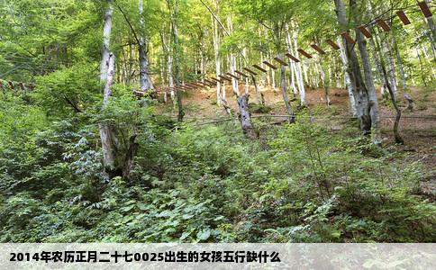 2014年农历正月二十七0025出生的女孩五行缺什么