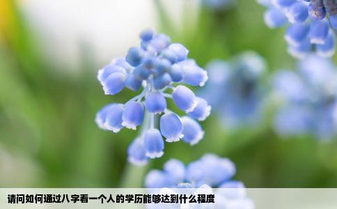 请问如何通过八字看一个人的学历能够达到什么程度