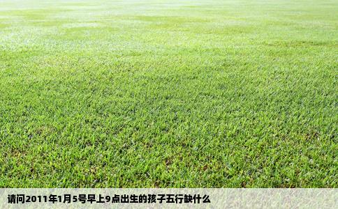 请问2011年1月5号早上9点出生的孩子五行缺什么