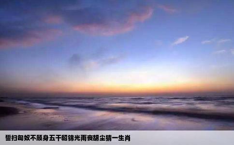 誓扫匈奴不顾身五干貂锦光雨丧胡尘猜一生肖