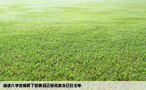 速求八字合婚男丁卯癸丑己卯丙寅女己巳壬申