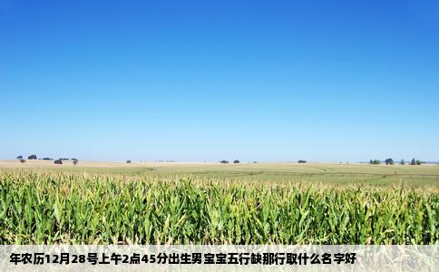 年农历12月28号上午2点45分出生男宝宝五行缺那行取什么名字好