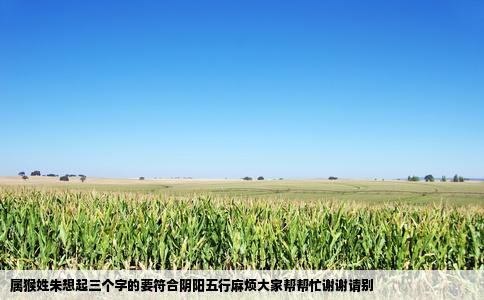 属猴姓朱想起三个字的要符合阴阳五行麻烦大家帮帮忙谢谢请别