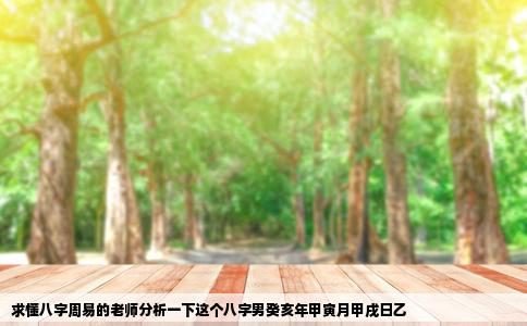 求懂八字周易的老师分析一下这个八字男癸亥年甲寅月甲戌日乙