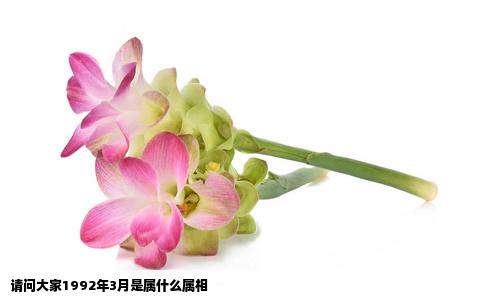 请问大家1992年3月是属什么属相