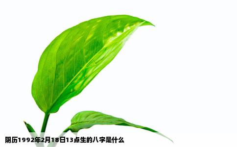 阴历1992年2月18日13点生的八字是什么