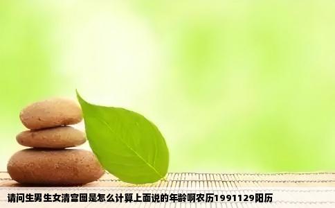 请问生男生女清宫图是怎么计算上面说的年龄啊农历1991129阳历