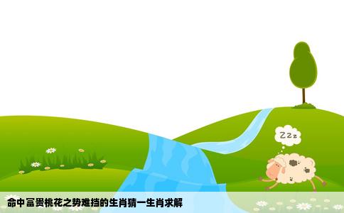 命中富贵桃花之势难挡的生肖猜一生肖求解