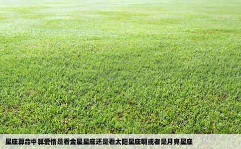 星座算命中算爱情是看金星星座还是看太阳星座啊或者是月亮星座