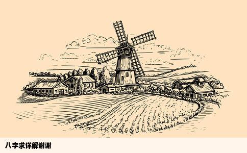 八字求详解谢谢