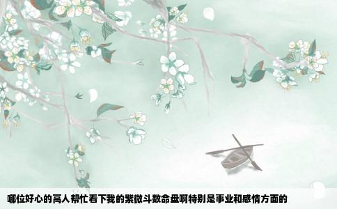 哪位好心的高人帮忙看下我的紫微斗数命盘啊特别是事业和感情方面的