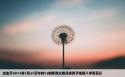 出生于2013年1月21日午时12时男孩父姓冯求孩子生辰八字及五行