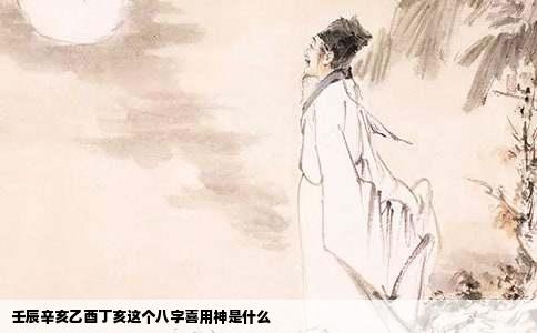 壬辰辛亥乙酉丁亥这个八字喜用神是什么