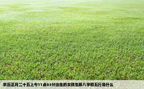 农历正月二十五上午11点03分出生的女孩生辰八字和五行是什么