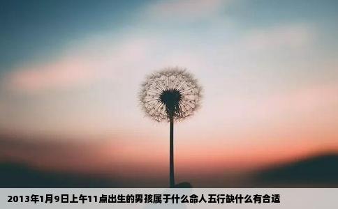 2013年1月9日上午11点出生的男孩属于什么命人五行缺什么有合适