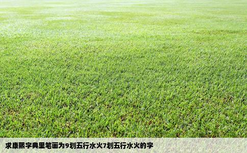 求康熙字典里笔画为9划五行水火7划五行水火的字