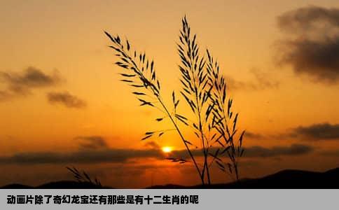 动画片除了奇幻龙宝还有那些是有十二生肖的呢