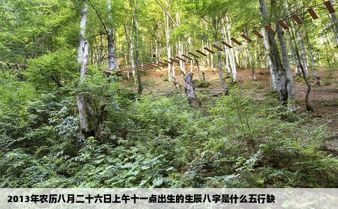 2013年农历八月二十六日上午十一点出生的生辰八字是什么五行缺