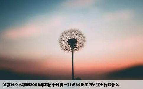 急需好心人求助2008年农历十月初一11点30出生的男孩五行缺什么