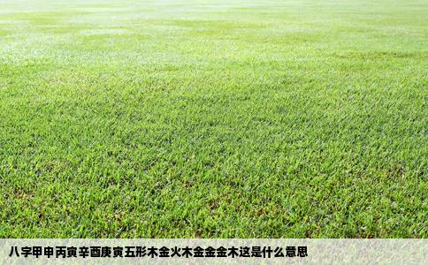 八字甲申丙寅辛酉庚寅五形木金火木金金金木这是什么意思