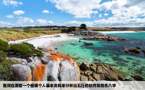 我现在要做一个根据个人基本资料来分析出五行的软件如姓名八字