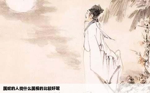 属蛇的人找什么属相的比较好呢