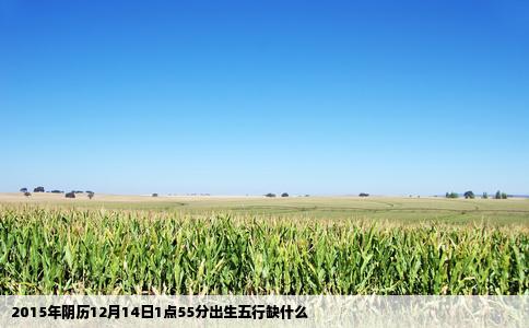 2015年阴历12月14日1点55分出生五行缺什么