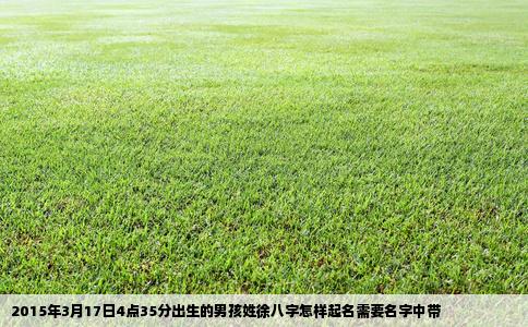 2015年3月17日4点35分出生的男孩姓徐八字怎样起名需要名字中带
